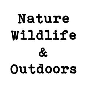 Nature Wildlife & Outdoors